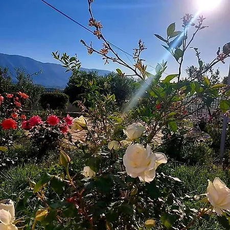 Holiday home Vlore Casa Vacanze