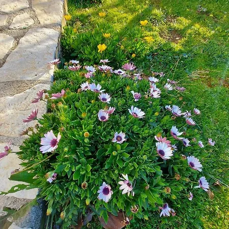 Holiday home Vlore Casa Vacanze
