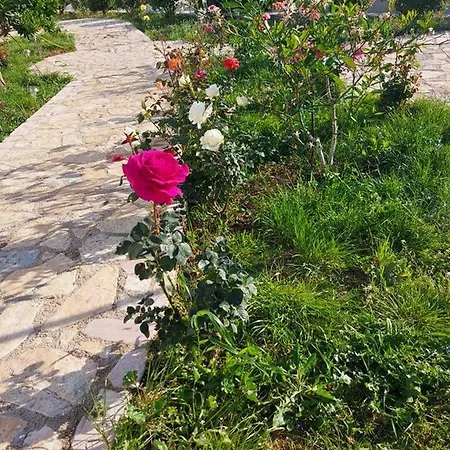 Vakantiehuis Vlore Casa Vacanze *