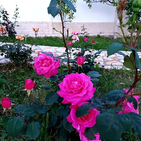 Vlore Casa Vacanze * Vlorë